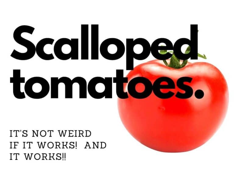 Ostego Scalloped Tomatoes